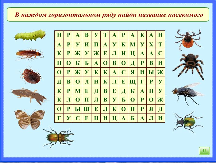 Кроссворд по окружающему миру 1 класс презентация